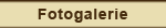 Fotoglerie
